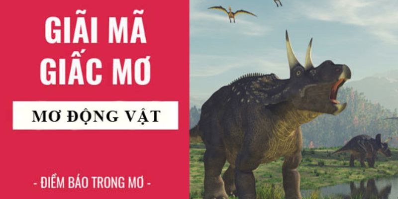 Giấc mộng thường gặp về động vật