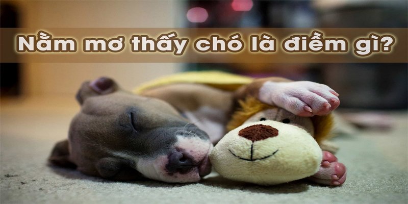 Con số may mắn nào thích hợp để chơi lô đề?