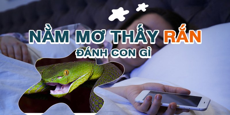 Mơ Thấy Rắn Đánh Con Gì Dễ Trúng Lô Đề? [CHI TIẾT NHẤT]